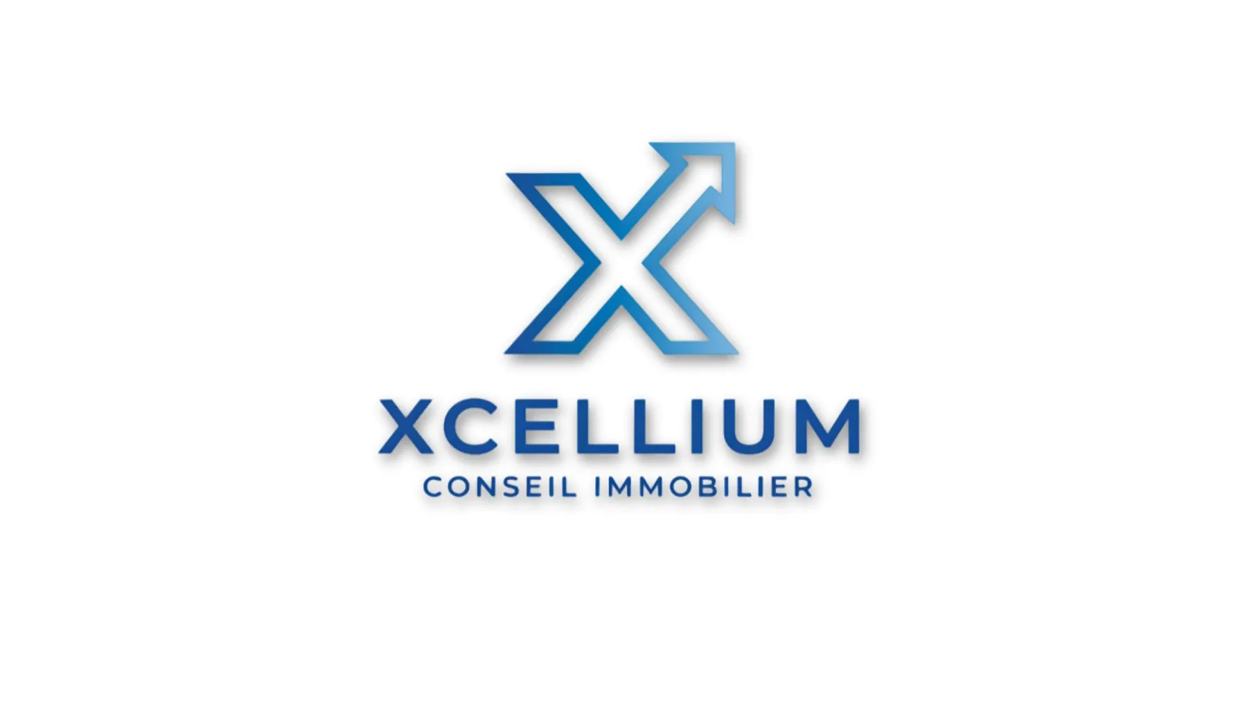 Xcellium Conseil Immobilier, réalisation du P’tit Studio